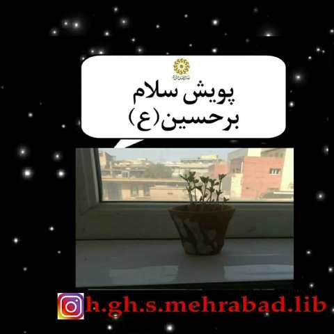 اخبار و اطلاعیه